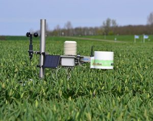 Pessl-GeoBas-Weerstation-01-tulpen