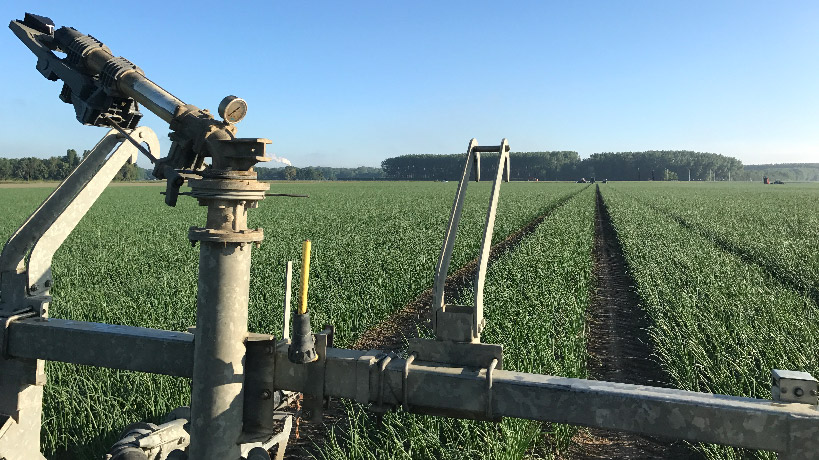 Beregenen als onderdeel van het watermanagement