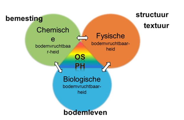 Afbeelding1_nologo